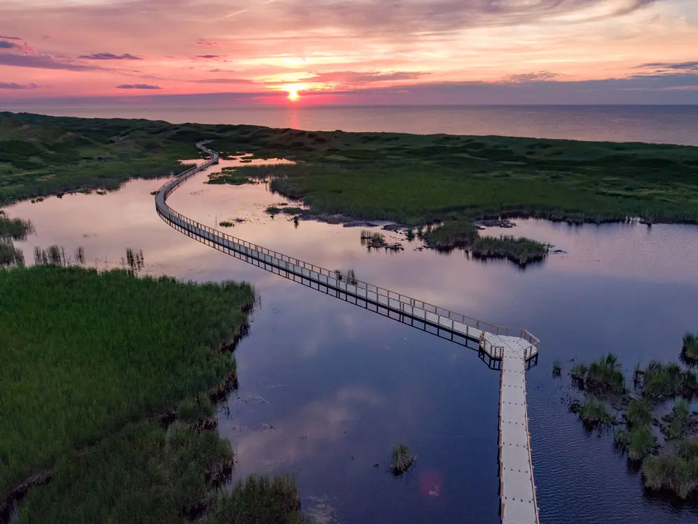 Aerial view of residential dock layout